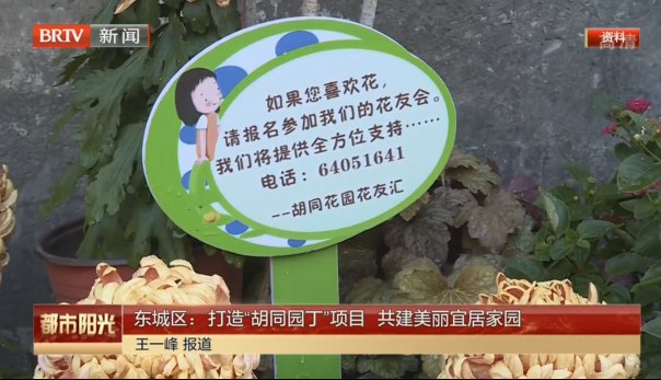 东城区：打造“胡同园丁”项目 共建美丽宜居家园