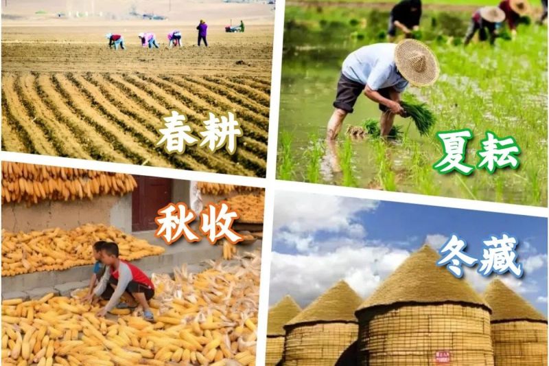 新的一年，愿大家_仓廪满满，收获满满 (1).jpg
