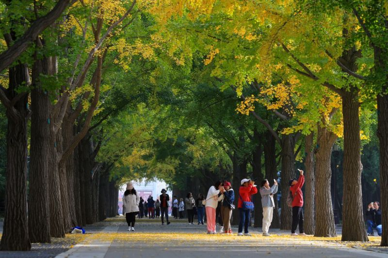 东城赏秋！这份攻略够了 (7).jpg