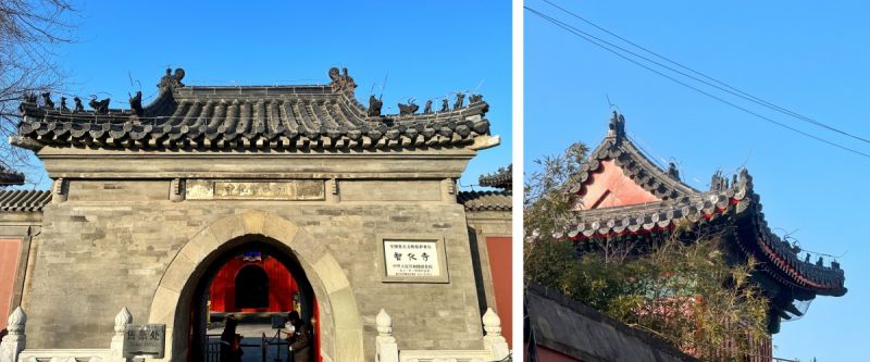 新的一年，愿大家_仓廪满满，收获满满 (18).jpg