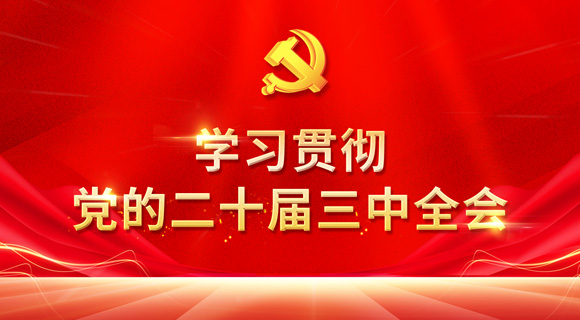 学习贯彻党的二十届三中全会