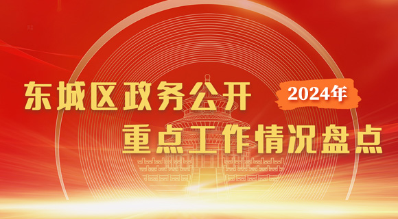 2024年东城区政务公开重点工作情况盘点