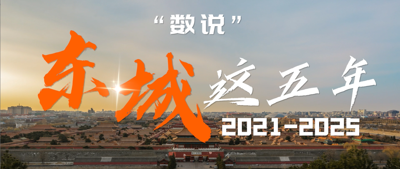 数说”东城这五年（2021-2025）