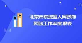 北京市东城区人民政府网站工作年度报表