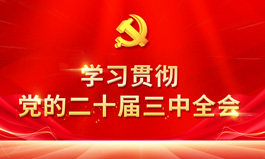 学习贯彻党的二十届三中全会