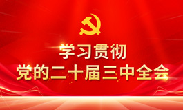 学习贯彻党的二十届三中全会