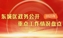 2025年东城区政务公开重点工作情况盘点