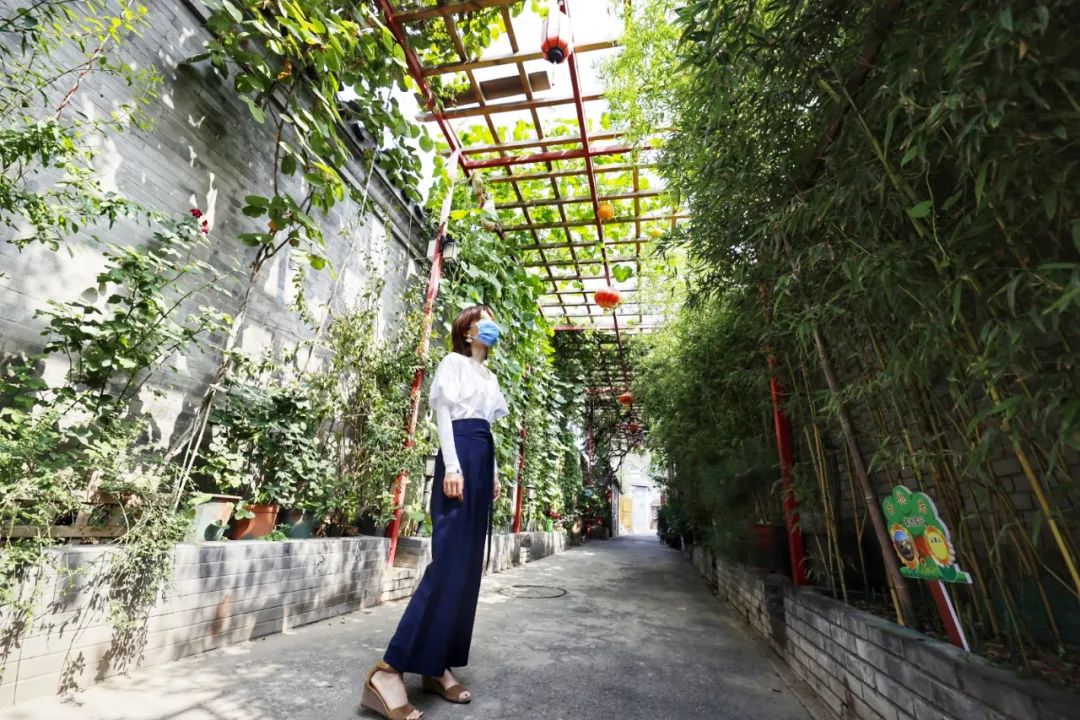 安排上了！东城背街小巷新一轮“美颜”计划7.jpg
