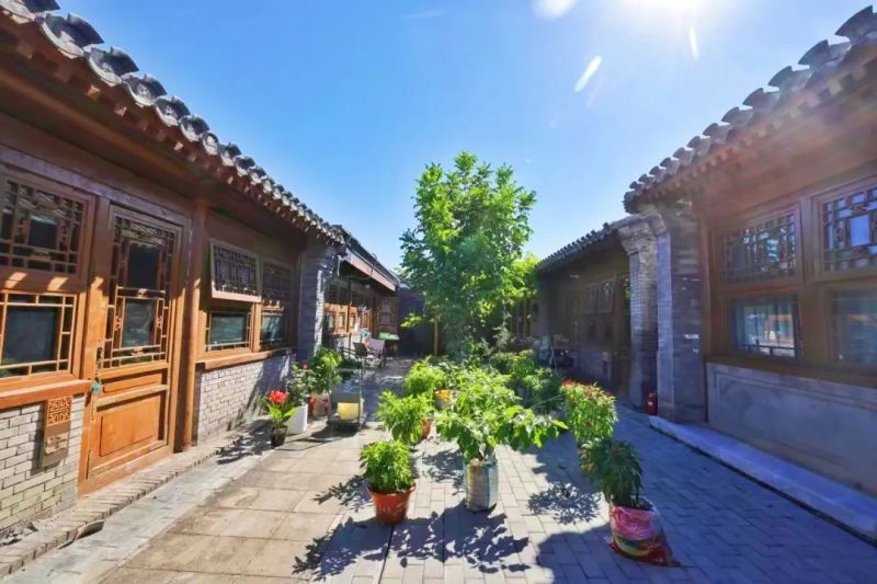 看着美、住着更美！东城胡同里，“长”出更多美丽小院5.jpg