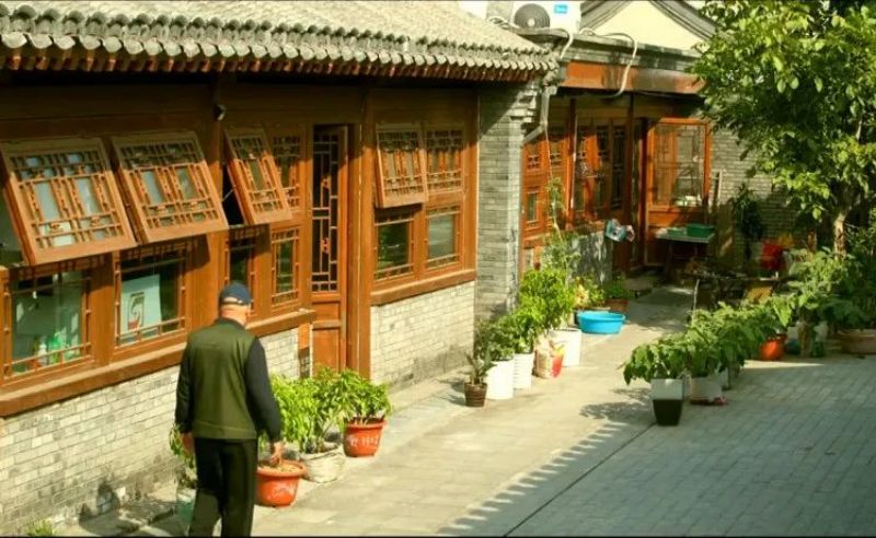 看着美、住着更美！东城胡同里，“长”出更多美丽小院6.jpg