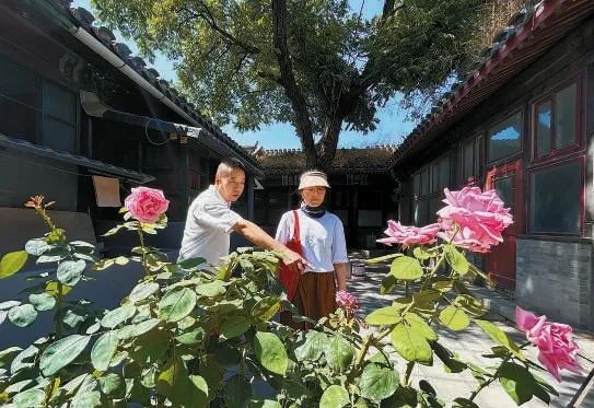 民生优先！这些东城小院儿，“改”成宜居幸福窝9.jpg