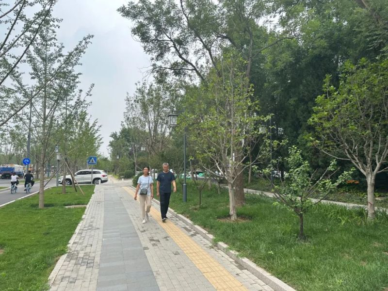 揭网见绿！东城13处地块露出“高颜值”.jpg