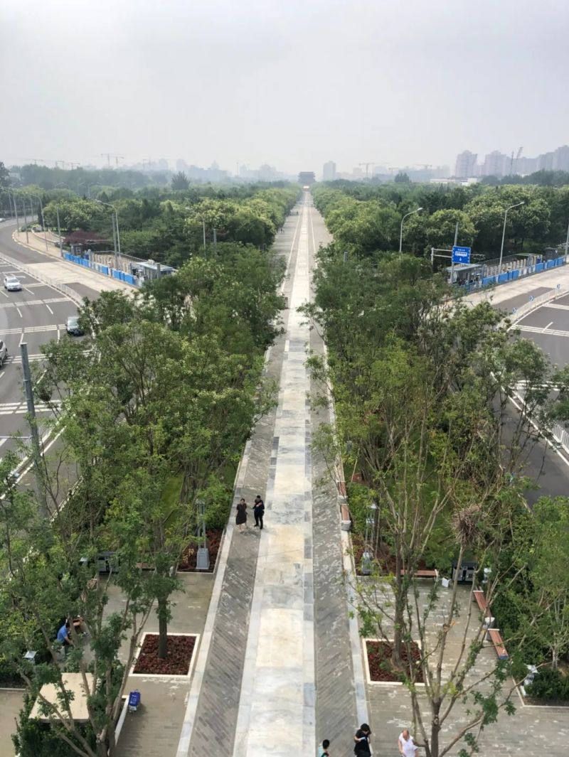揭网见绿！东城13处地块露出“高颜值”2.jpg