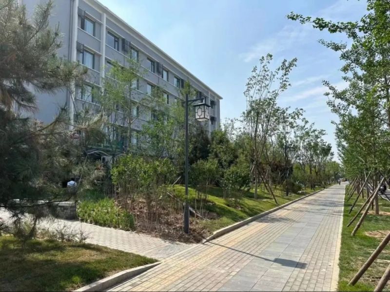 揭网见绿！东城13处地块露出“高颜值”4.jpg