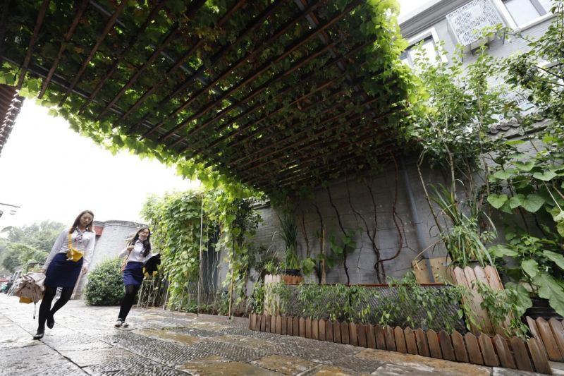 蓝天、碧水、净土，这样的东城，你爱了吗？ (6).jpg