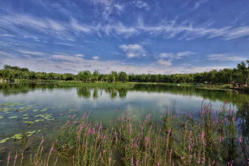 蓝天、碧水、净土，这样的东城，你爱了吗？ (19).jpg