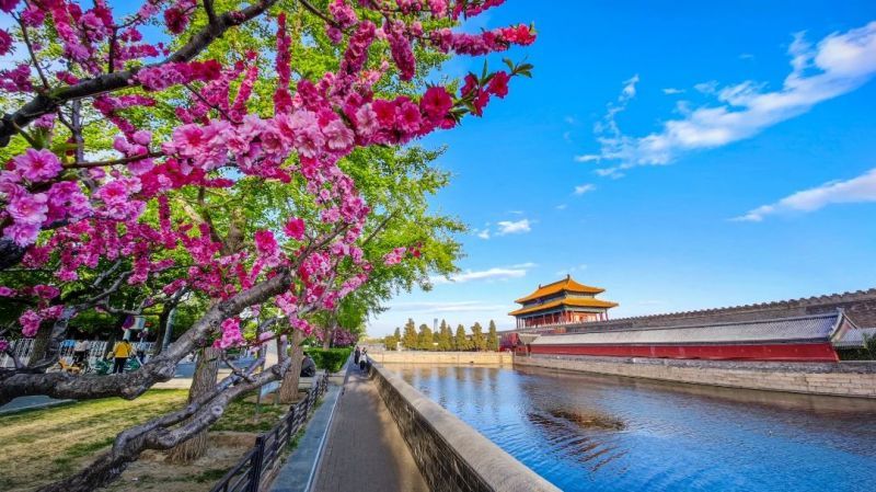 蓝天、碧水、净土，这样的东城，你爱了吗？ (25).jpg