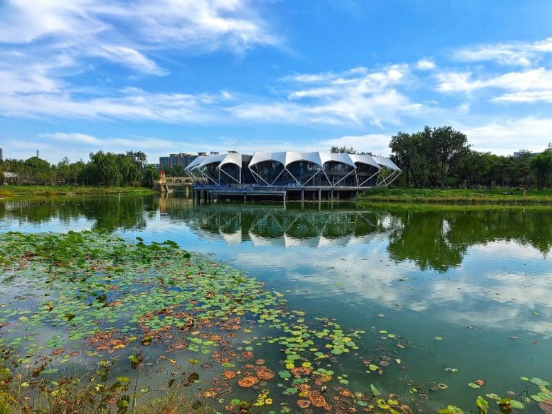 蓝天、碧水、净土，这样的东城，你爱了吗？ (29).jpg