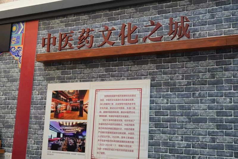 崇文争先，古都华章！来2023服贸会东城展区，看文化传承发展的“东城实践” (28).jpg