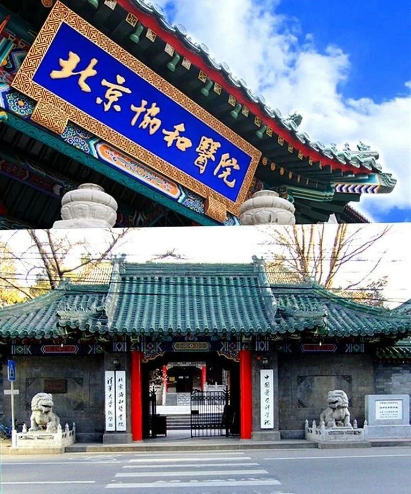 文化赋能+产业创新，东城特色中医药发展模式的关键 (12).jpg