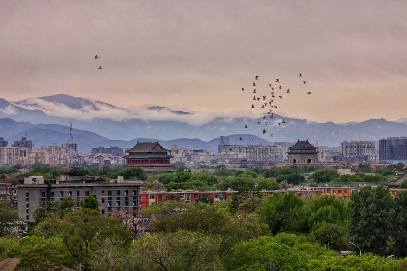 北京东城_让“文明之花”绽放城市各个角落 (1).jpg