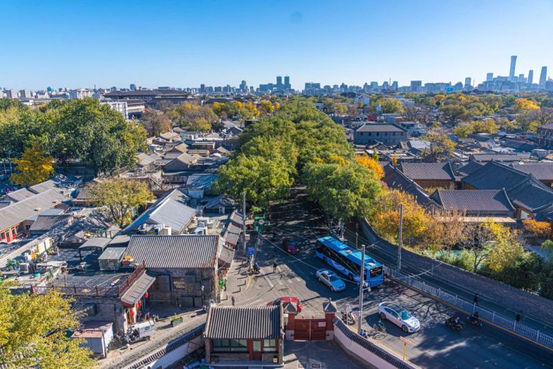 北京东城_让“文明之花”绽放城市各个角落 (9).jpg