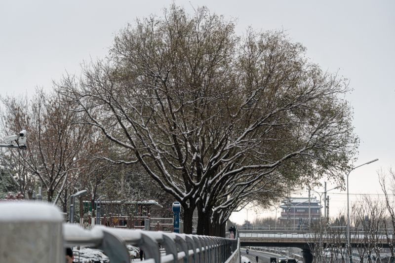 东城因你而美___大雪的浪漫，有他们温暖守护 (1).jpg