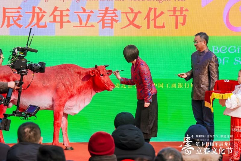 “鞭打春牛”迎立春,东城发布“和美有时”廿四节气赋能计划 (16).jpg