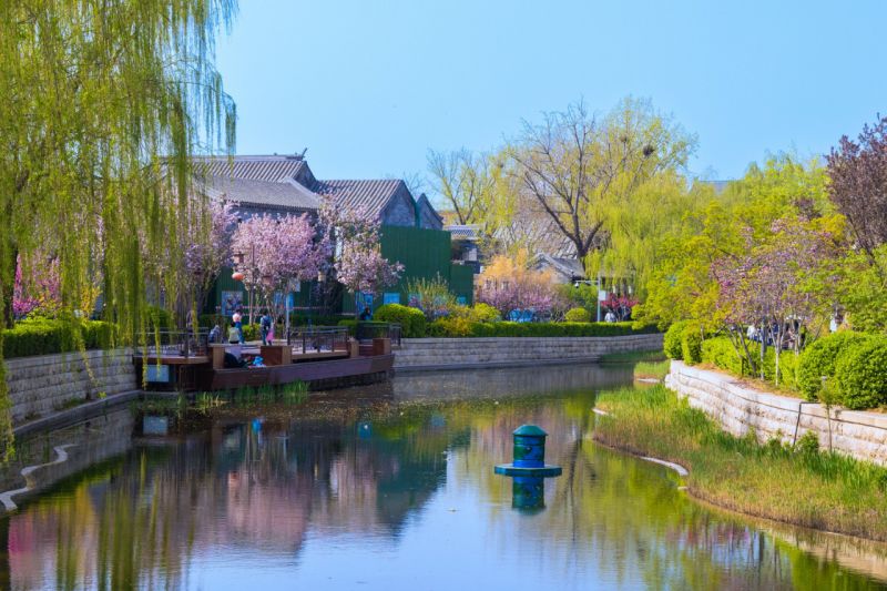 建设“花园城市”，东城今年这么干 (2).jpg