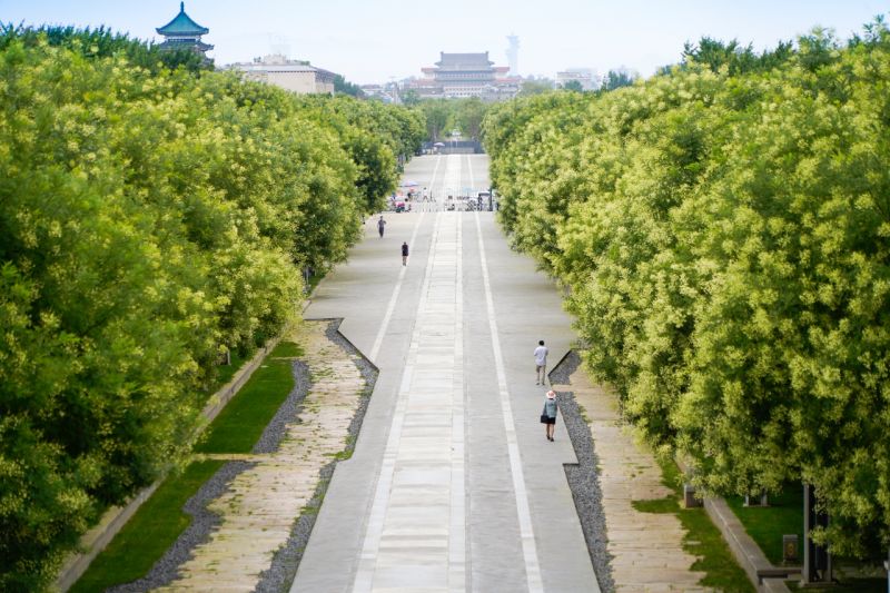 建设“花园城市”，东城今年这么干 (5).jpg