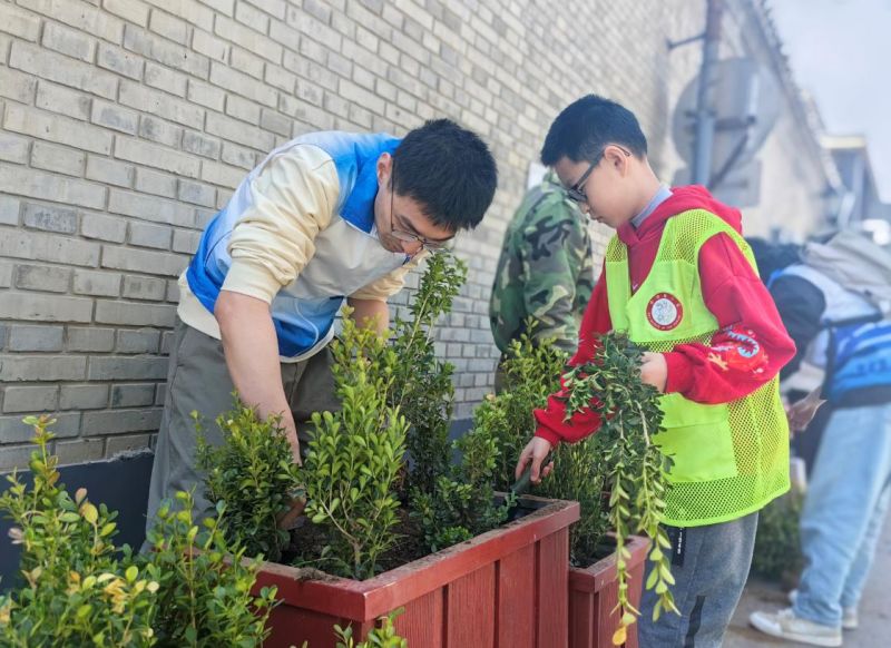 建设“花园城市”，东城今年这么干 (15).jpg