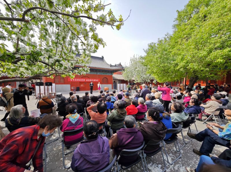 春和景明，共赴一场海棠诗会盛宴 (9).jpg