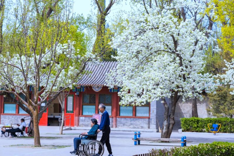 东城，最美四月天 (32).jpg