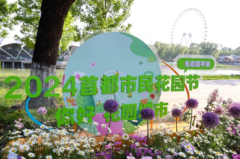 火出圈的“莫奈花园”，东城这家公园里竟然有32个 (10).jpg