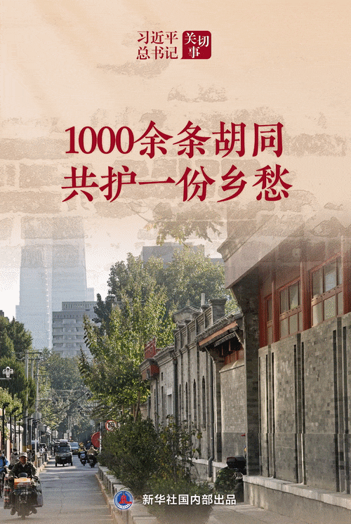 习近平总书记关切事｜1000余条胡同共护一份乡愁.gif