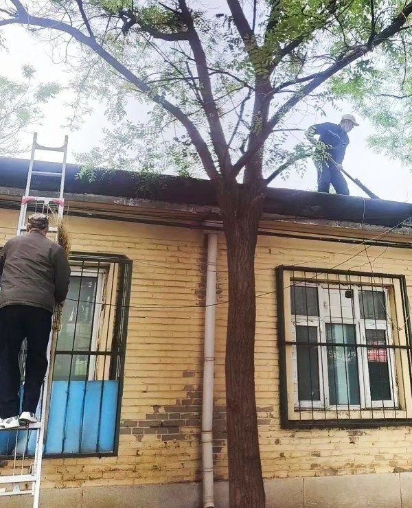 靠前防御、快速处置!东城精准施策织密防汛网4.jpg