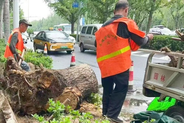 靠前防御、快速处置!东城精准施策织密防汛网6.jpg