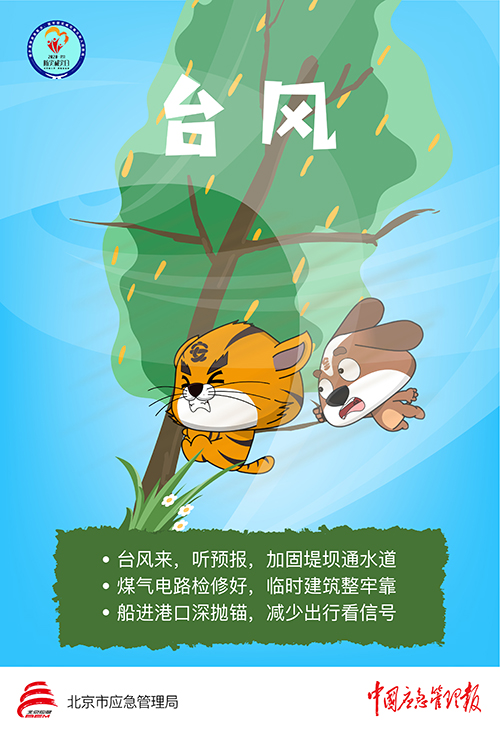 台风—应急常识