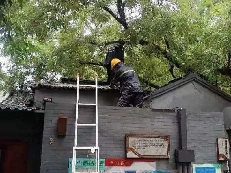 坚守，奋战！东城全力以赴应对强降雨17.jpg
