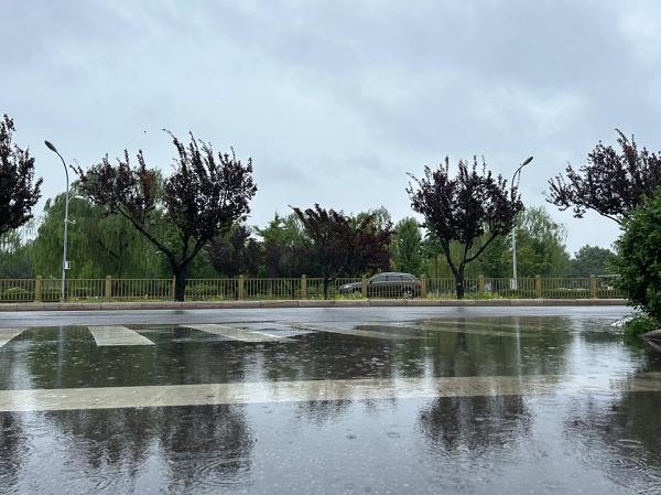暴雨后.png