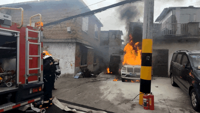 gif.gif