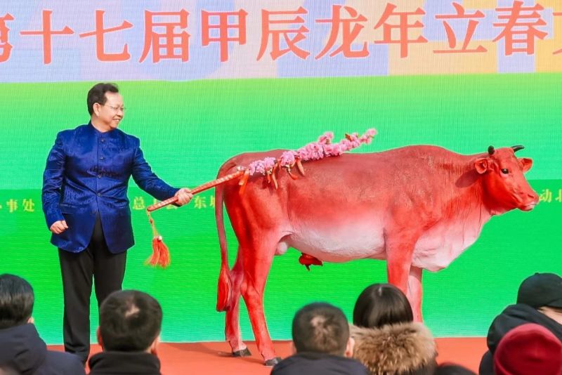 “鞭打春牛”迎立春，东城发布“和美有时”廿四节气赋能计划 (3).jpg