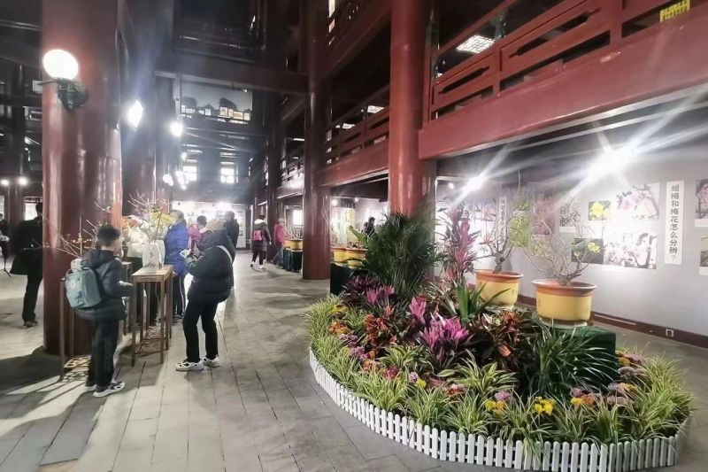 国风市集、赏花打卡……明城墙梅花文化节将持续至4月中旬 (8).jpg