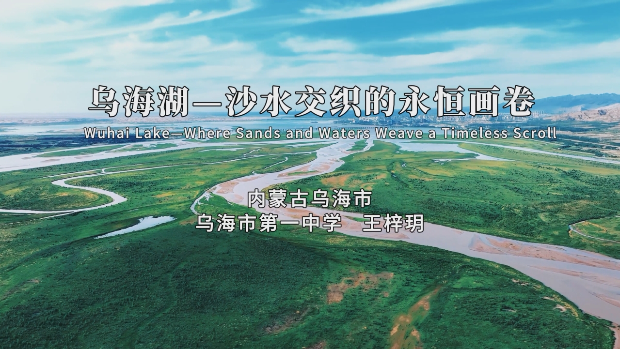 《乌海湖——沙水交织的永恒画卷》