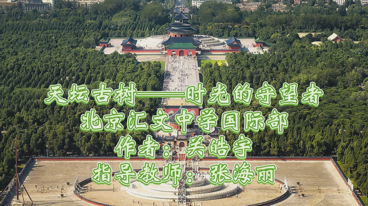 《天坛古树：时光的守望者》