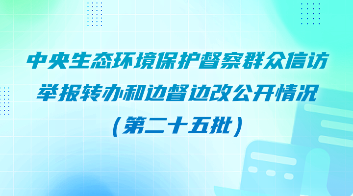 中央生态环境保护督察群众信访举报转办边督边改公开情况（第二十五批）