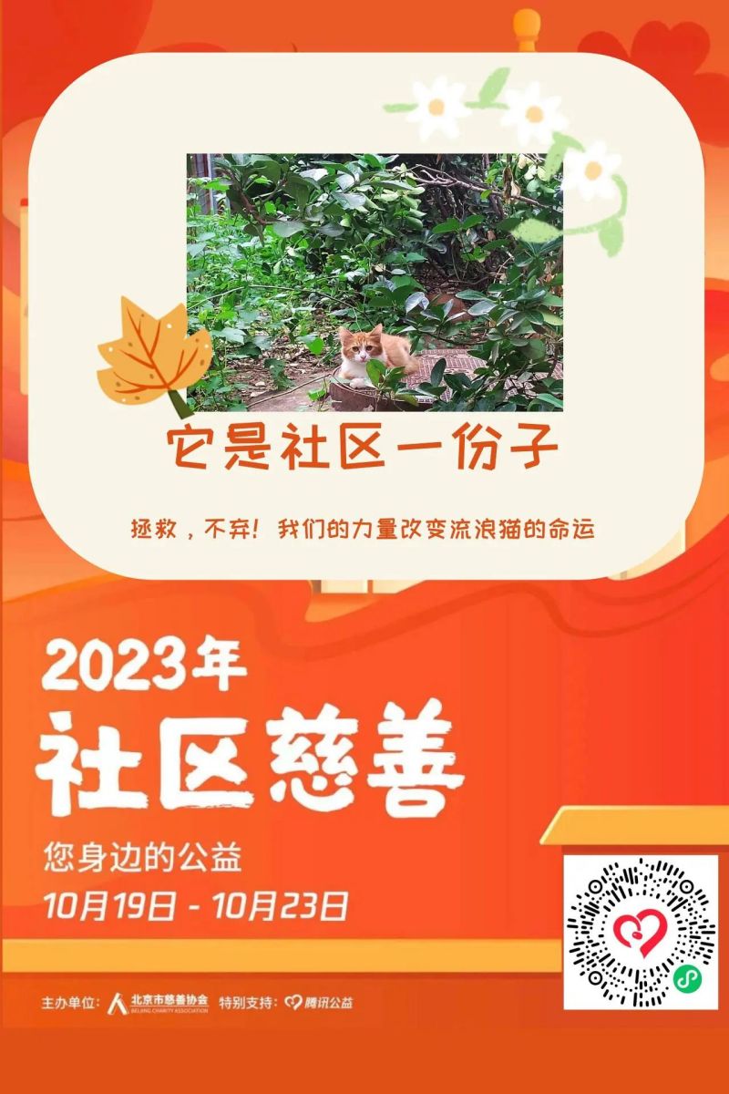 东城上线19个社区慈善项目，等您来认领！ (4).jpg